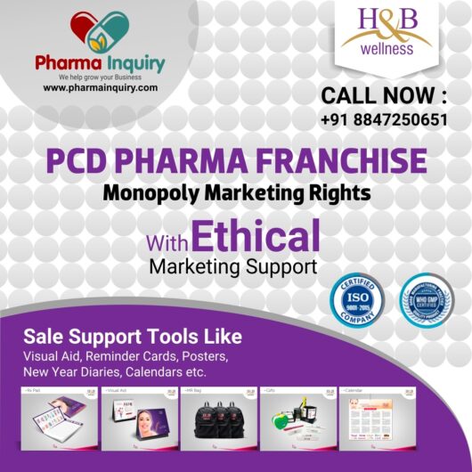 H&B Wellness -PCD Pharma Franchise in Haryana