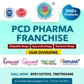 Veecube Healthcare – Best PCD pharma franchise company in India