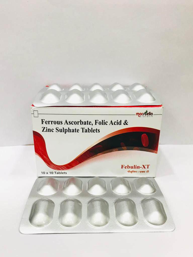 MORSTELLA BIOTECH